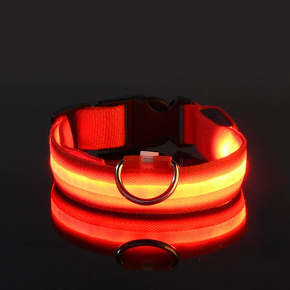 LED Dog Collar Glow in the Dark - Night Safety Flashing Nylon Light Up Pet Collar, High Visibility Luminous Fluorescent Collar for Night Walking