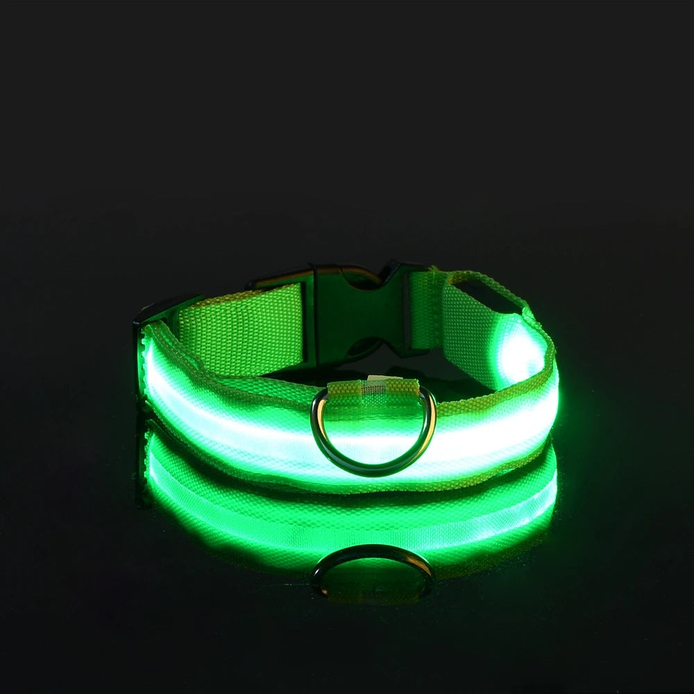 LED Dog Collar Glow in the Dark - Night Safety Flashing Nylon Light Up Pet Collar, High Visibility Luminous Fluorescent Collar for Night Walking