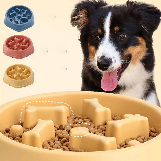 Non-Slip Pet Slow Feeder Bowl | Puzzle Dish for Dogs & Cats