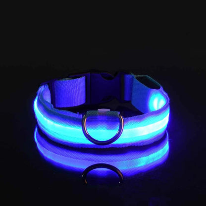 LED Dog Collar Glow in the Dark - Night Safety Flashing Nylon Light Up Pet Collar, High Visibility Luminous Fluorescent Collar for Night Walking