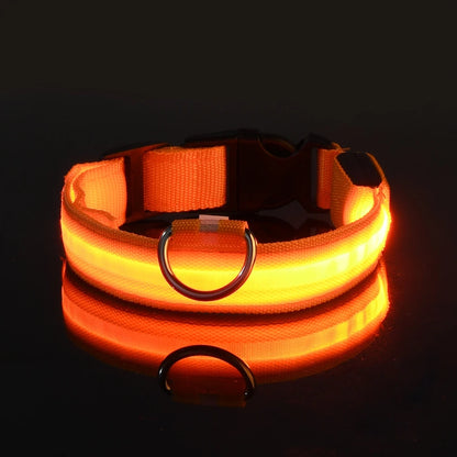LED Dog Collar Glow in the Dark - Night Safety Flashing Nylon Light Up Pet Collar, High Visibility Luminous Fluorescent Collar for Night Walking