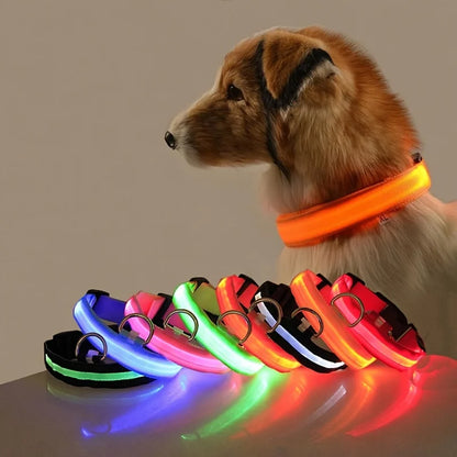 LED Dog Collar Glow in the Dark - Night Safety Flashing Nylon Light Up Pet Collar, High Visibility Luminous Fluorescent Collar for Night Walking