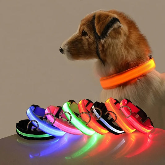LED Dog Collar Glow in the Dark - Night Safety Flashing Nylon Light Up Pet Collar, High Visibility Luminous Fluorescent Collar for Night Walking