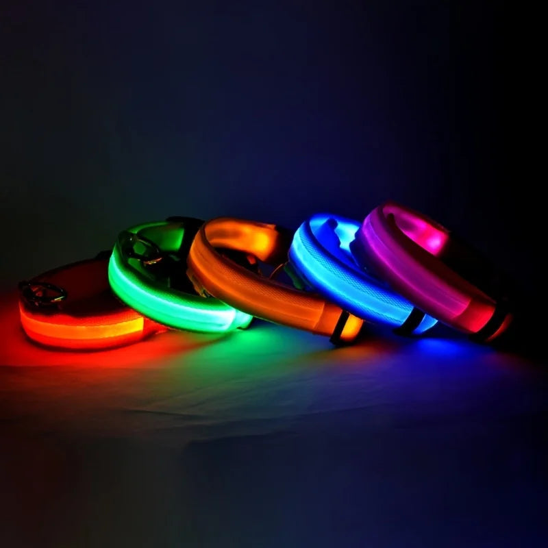 LED Dog Collar Glow in the Dark - Night Safety Flashing Nylon Light Up Pet Collar, High Visibility Luminous Fluorescent Collar for Night Walking