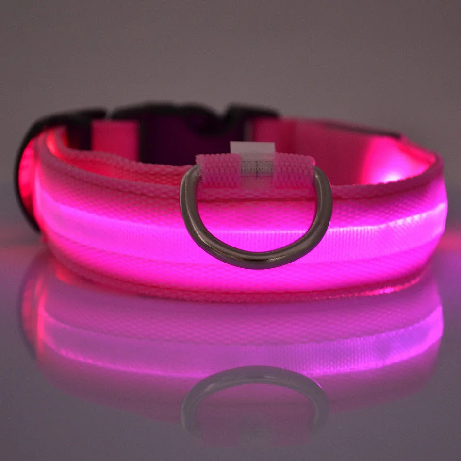 LED Dog Collar Glow in the Dark - Night Safety Flashing Nylon Light Up Pet Collar, High Visibility Luminous Fluorescent Collar for Night Walking