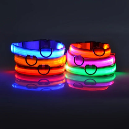 LED Dog Collar Glow in the Dark - Night Safety Flashing Nylon Light Up Pet Collar, High Visibility Luminous Fluorescent Collar for Night Walking
