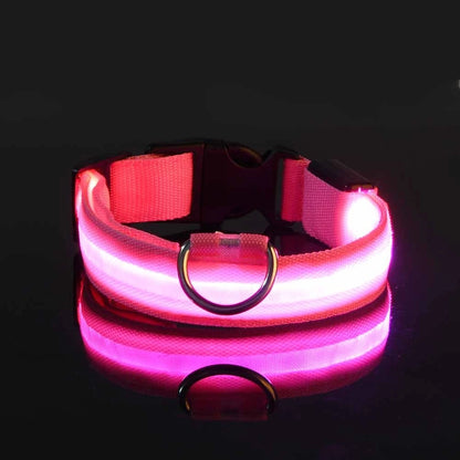 LED Dog Collar Glow in the Dark - Night Safety Flashing Nylon Light Up Pet Collar, High Visibility Luminous Fluorescent Collar for Night Walking