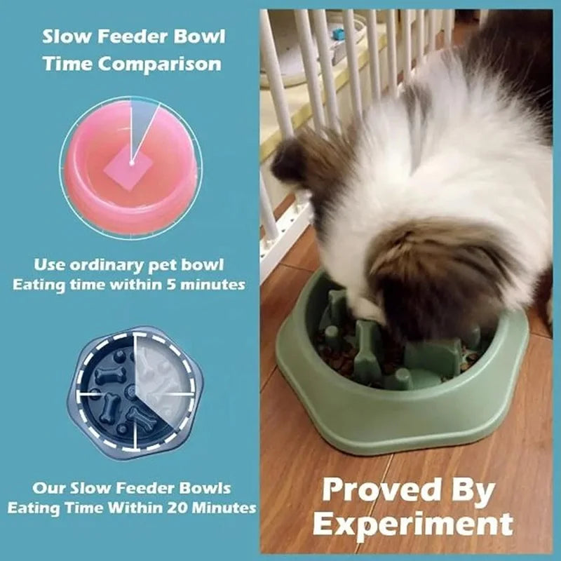 Non-Slip Pet Slow Feeder Bowl | Puzzle Dish for Dogs & Cats