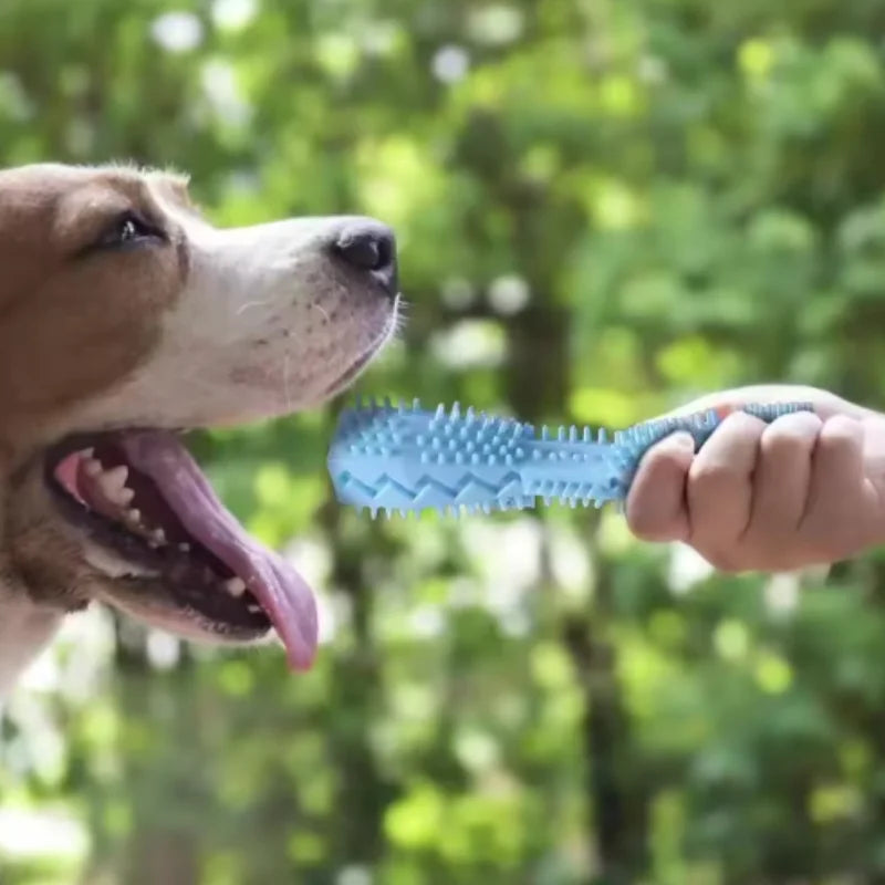 Bite-Resistant Dog Teething Chew Stick | Leak-Proof Dental & Treat Toy